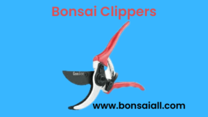 Bonsai Clippers