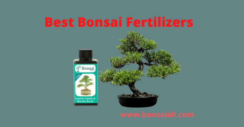 Best Bonsai Tree Fertilizers