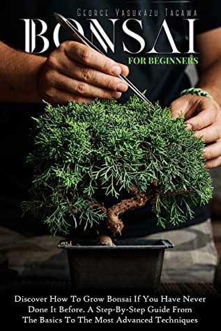 Bonsai book for beginners