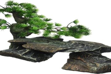 Bonsai driftwood for aquarium