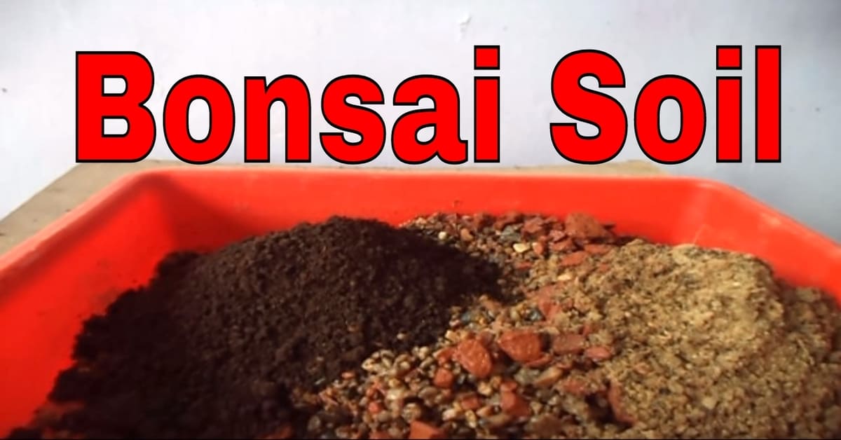 Bonsai Soil