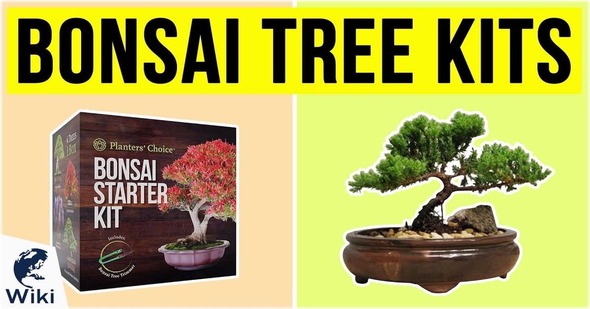 Bonsai Starter Kits