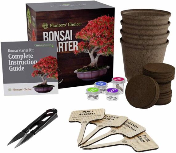 Bonsai Starter Kits