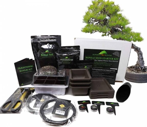 Superfly-Bonsai-Traditional-Bonsai-Seed-Growing-Kit-Japanese-Wisteria-Japanese-Black-Pine-Dawn-Redwood